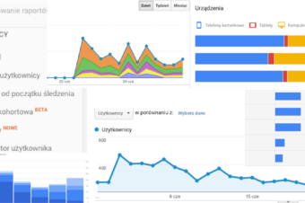 SEO – analiza jakościowa i ilościowa